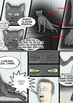 Проблемный кот