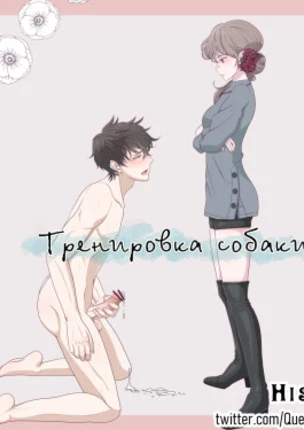 Тренировка собаки