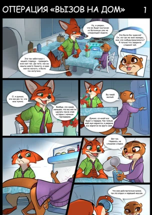 Операция «Вызов на дом»