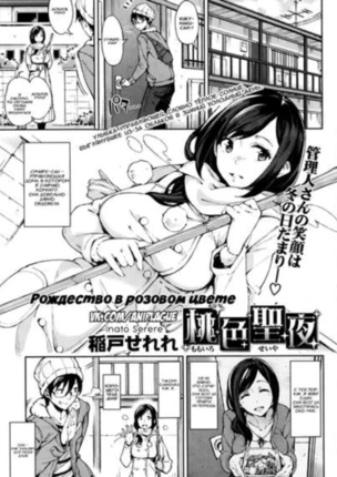 Рождество в розовом цвете