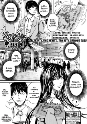 Пёс, который пытается, несмотря на свою никчёмность