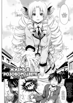 Жизнь в розовом цвете