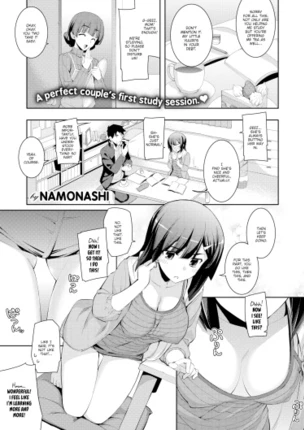 Первая учебная сессия идеальной пары