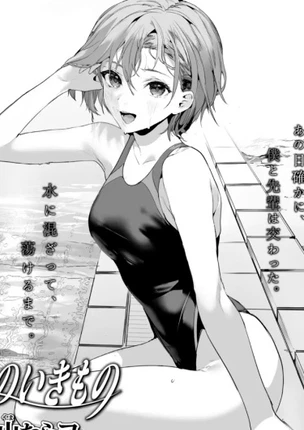 Прибрежные существа