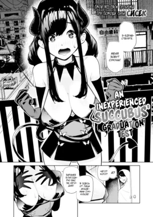 Выпускной тест неопытного суккуба