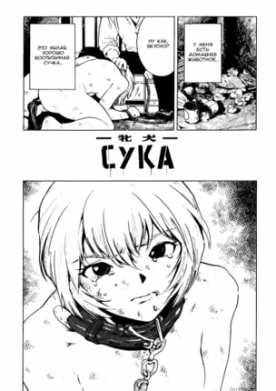 Сука