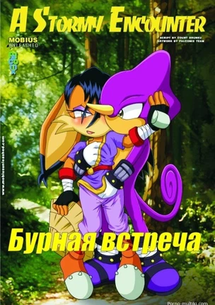 Бурная встреча