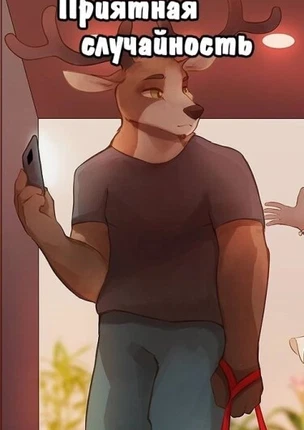 Удачное стечение обстоятельств