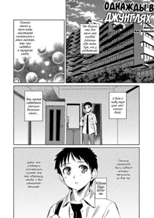 Однажды в джунглях